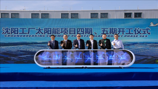 現場活動圖。主辦方供圖