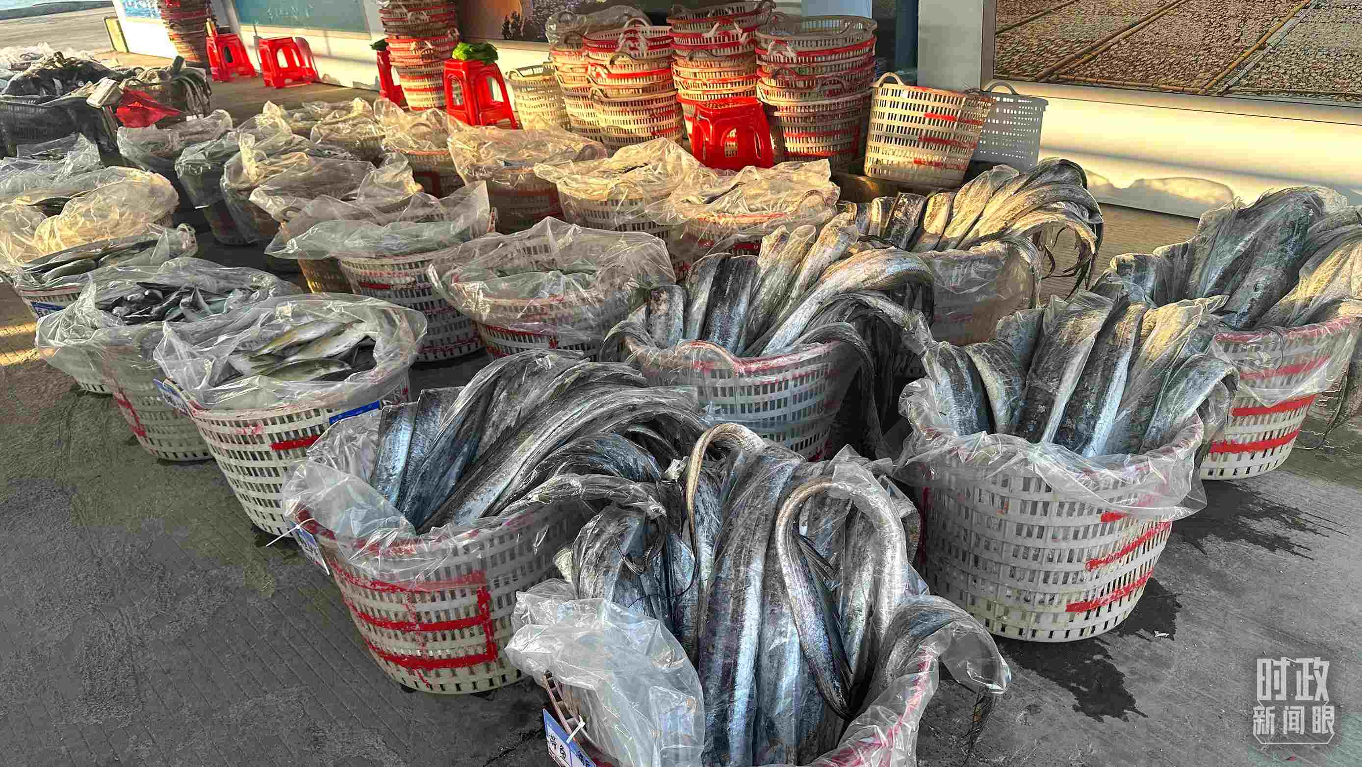 △澳角村的海產(chǎn)品。（總臺央視記者覃思拍攝）