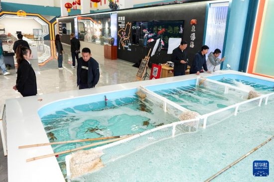 9月20日，游客在吉林省琿春市的帝王蟹保稅店內(nèi)選購(gòu)帝王蟹。新華社記者 許暢 攝