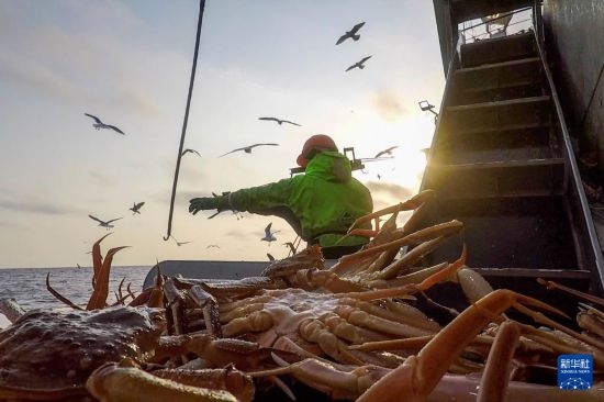 這是俄羅斯蟹業(yè)集團(tuán)工作人員進(jìn)行遠(yuǎn)洋捕撈的資料照片。新華社發(fā)（俄羅斯蟹業(yè)集團(tuán)供圖）