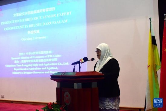 10月26日，文萊初級(jí)資源與旅游部常任秘書圖蒂亞蒂在斯里巴加灣市出席中國(guó)與文萊雜交水稻高級(jí)專家顧問(wèn)項(xiàng)目啟動(dòng)儀式。新華社記者 李萌 攝