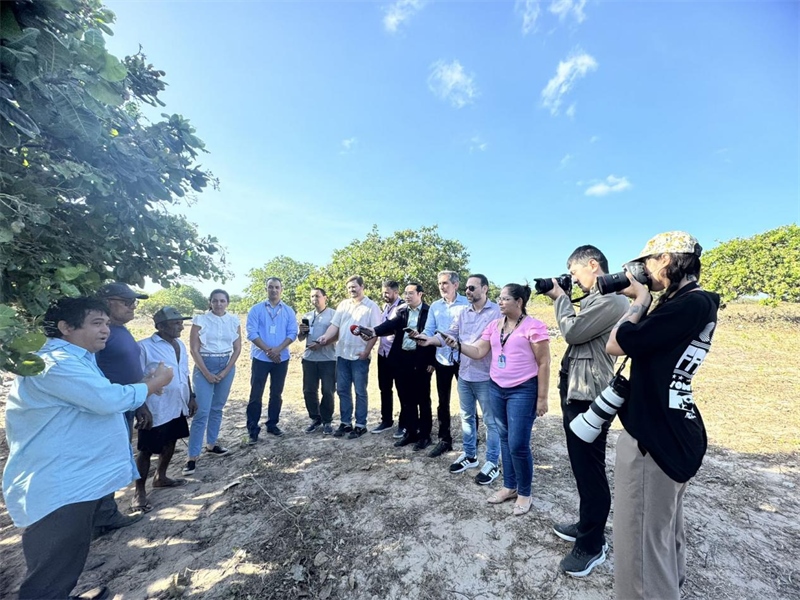 聯(lián)合采訪團(tuán)正在采訪中國(guó)企業(yè)在若昂卡馬拉市的扶貧開放項(xiàng)目 。孫佳攝