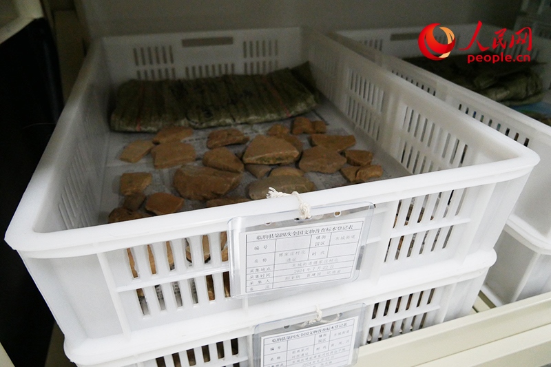 已經(jīng)整理完畢的文物標本。人民網(wǎng)記者 韋衍行攝