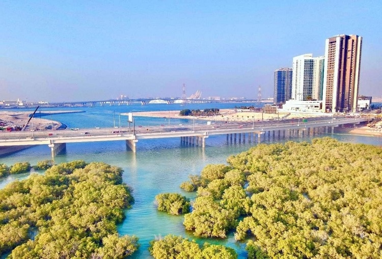 圖為瑞姆橋施工現(xiàn)場。中國土木供圖