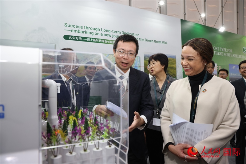 嘉賓參觀中國館。人民網(wǎng)記者任皓宇攝