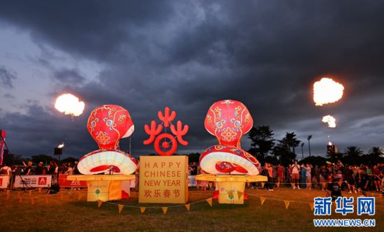 圖為游客在2025年奧克蘭元宵燈節(jié)游覽。（圖片由奧克蘭中國文化中心提供）