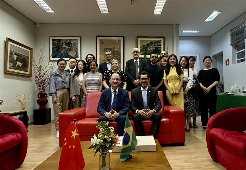 圖為參加座談會的來賓合影留念。 圣保羅州立大學(xué)孔子學(xué)院供圖