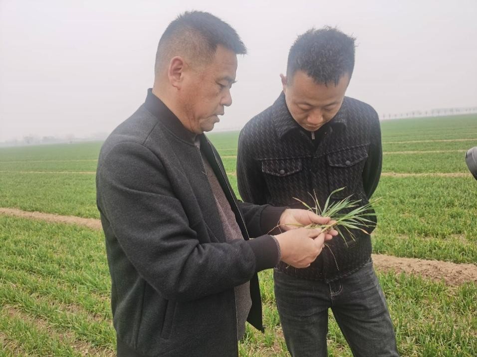在山東濟(jì)寧汶上縣苑莊鎮(zhèn)，農(nóng)技員黃海龍對(duì)種糧大戶王振現(xiàn)場(chǎng)進(jìn)行春耕指導(dǎo)。人民網(wǎng)記者 車柯蒙攝