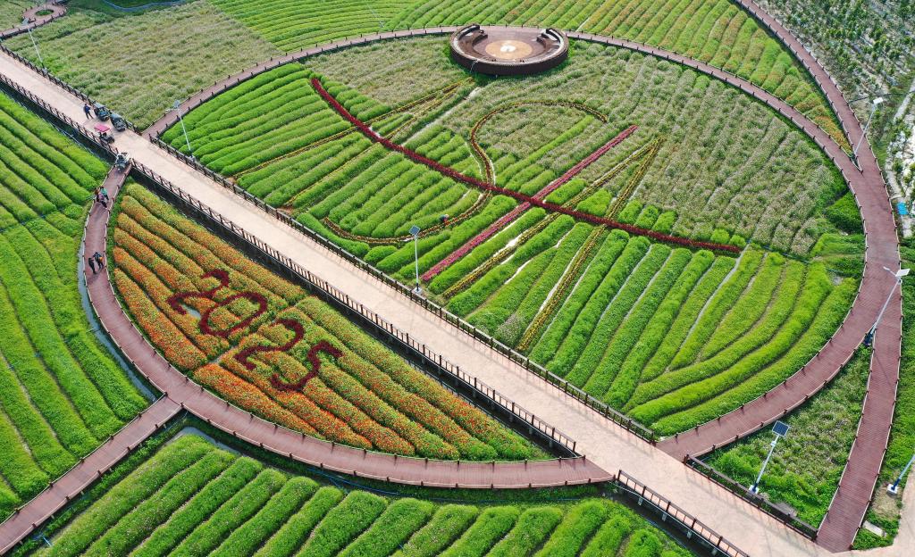 這是3月21日拍攝的瓊海博鰲南強(qiáng)村景色（無(wú)人機(jī)照片）。新華社記者 郭程 攝