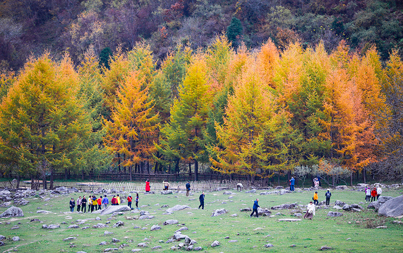 2023年10月27日，深秋時(shí)節(jié)的陜西秦嶺太子嶺五彩斑斕，進(jìn)入最佳觀賞期。