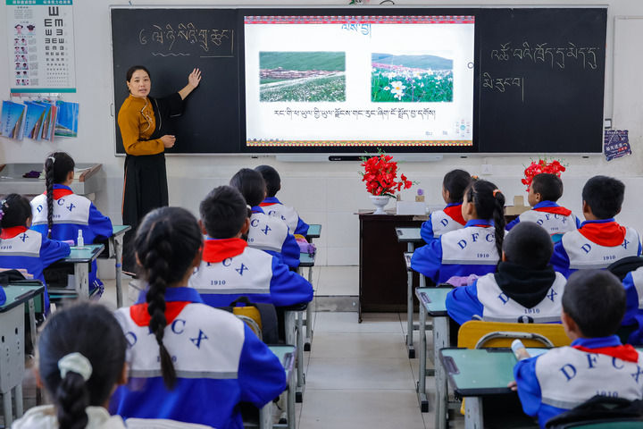 2024年9月27日，在四川省甘孜藏族自治州道孚縣城關(guān)第一完全小學(xué)，采取“藏加模式”教學(xué)的五年級(jí)一班的藏語文課上，準(zhǔn)木周老師指導(dǎo)藏族學(xué)生以家鄉(xiāng)草原風(fēng)物為主題寫作藏語文作文。新華社記者 沈伯韓 攝